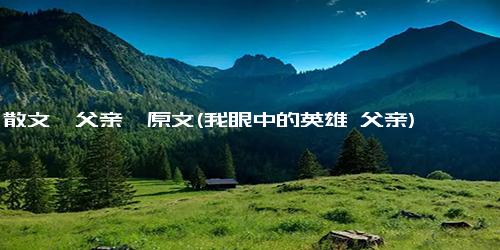 散文《父亲》原文(我眼中的英雄 父亲)